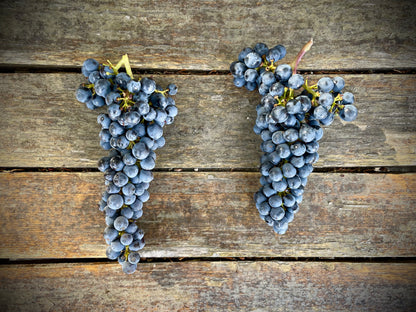 2023 Coombsville Cabernet Sauvignon