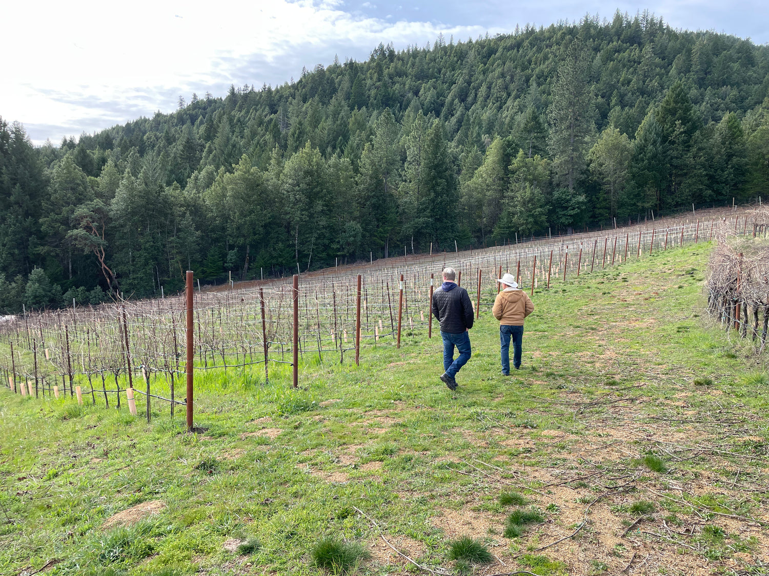 2023 Alder Springs Vineyard Chardonnay