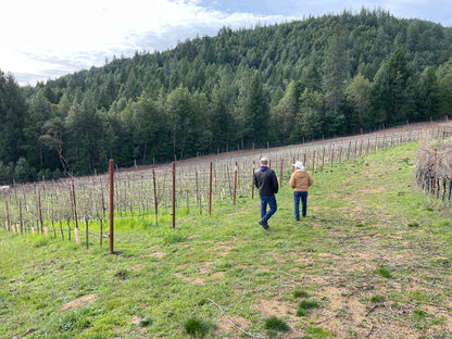 2023 Alder Springs Vineyard Chardonnay